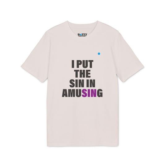 I put the SIN in amuSINg