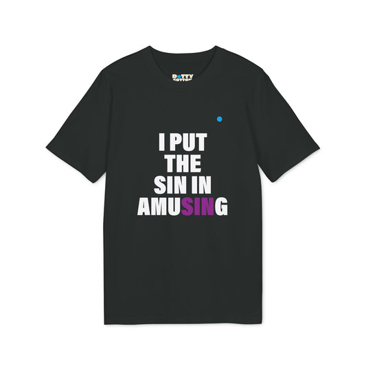 I put the SIN in amuSINg